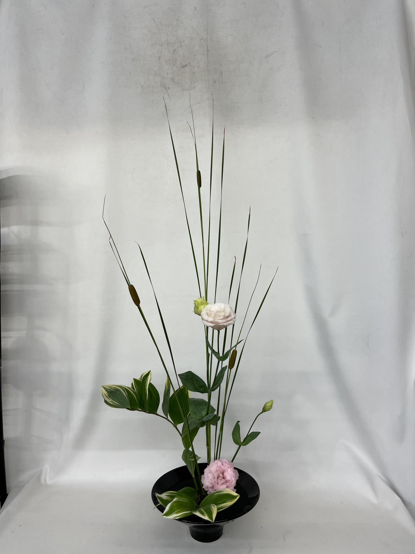 画像 -20250616-085642-562d62e8